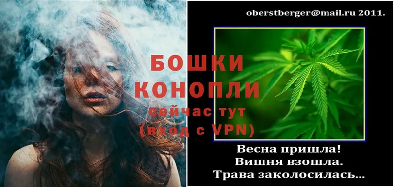 купить   Новый Уренгой  Марихуана OG Kush 